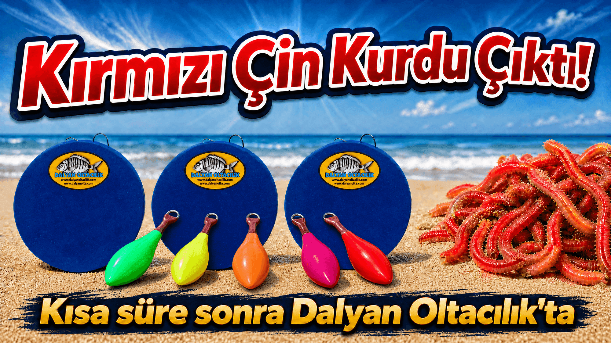 Kırmızı Lugworm Çıktı! Canlı Deniz Solucanında Yeni Dönem